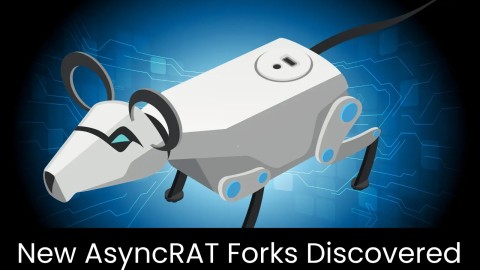 di_-_2025-07-15t173719-650__1_-480x270-1-1