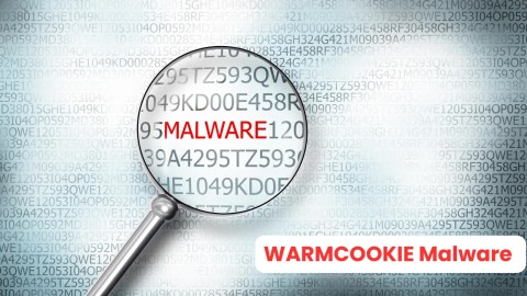 WARMCOOKIE Nguy Hiểm: Mã Độc Tiến Hóa Đe Dọa An Ninh Mạng