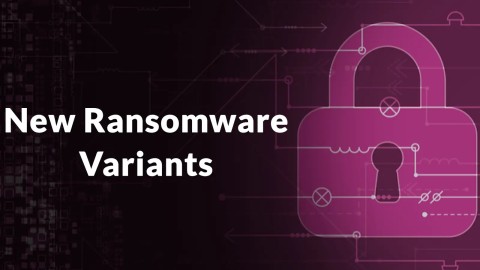 Tấn công Ransomware vào S3: Nguy cơ dữ liệu nghiêm trọng trên AWS