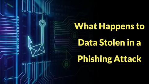Đánh cắp dữ liệu: Hành trình nguy hiểm sau tấn công Phishing