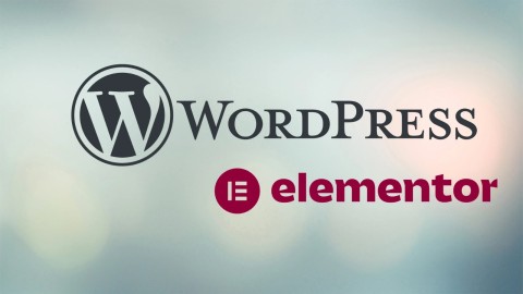 Lỗ hổng CVE nghiêm trọng: Nguy cơ chiếm quyền điều khiển WordPress