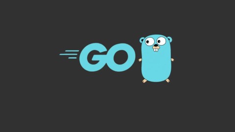 Go: Bản vá khẩn cấp khắc phục lỗ hổng CVE và RCE nghiêm trọng