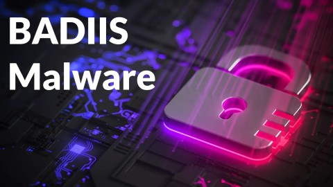 BADIIS: Hiểm họa chiến dịch tấn công mạng IIS toàn cầu