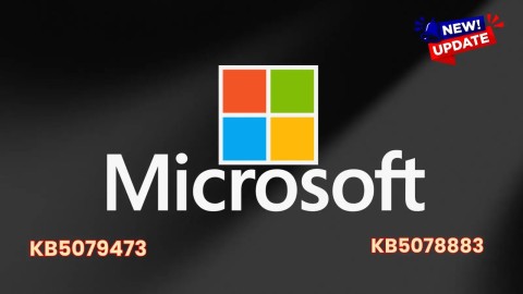 Cập nhật Bản Vá Windows 11: Khẩn Cấp Tăng Cường Bảo Mật